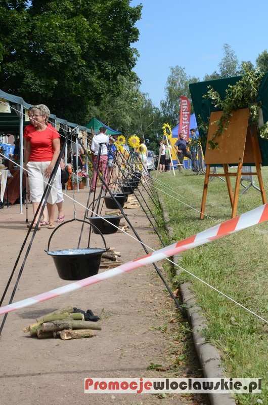 Święto Żuru Kujawskiego - Brześć Kujawski - 22.06.2013 cz. 1