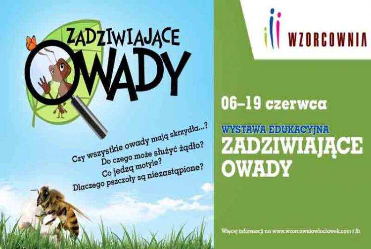 ZADZIWIAJĄCE OWADY WE WŁOCŁAWSKIEJ WZORCOWNI