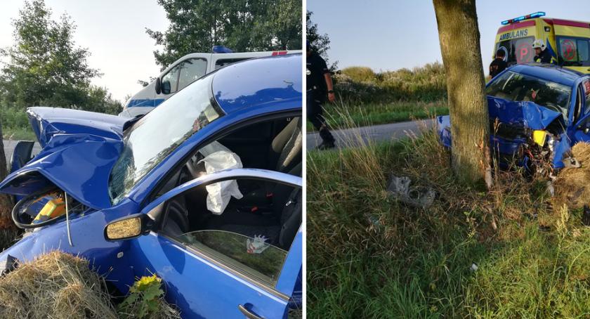 Groźny wypadek w powiecie aleksandrowskim. Skoda wbiła się w drzewo [FOTO]