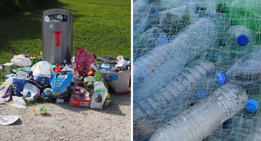 Przypadki nielegalnego wyrzucania śmieci we Włocławku. Straż Miejska zwraca się z apelem
