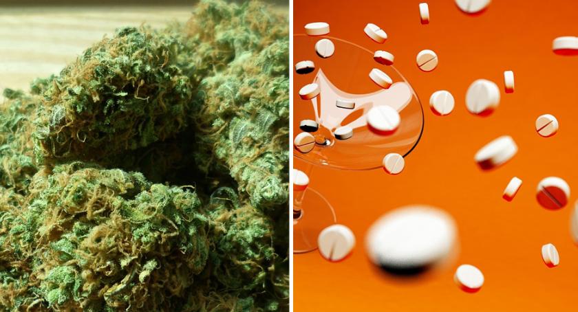 Marihuana, amfetamina i kokaina we Włocławku. Policjanci wykryli jej duże ilości