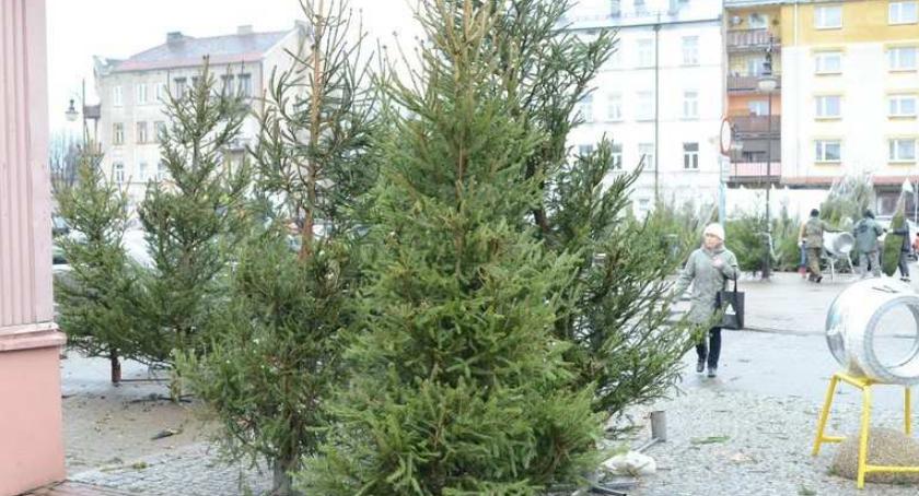 Niedziele handlowe w grudniu 2018. Kiedy i gdzie we Włocławku do urzędu i na zakupy