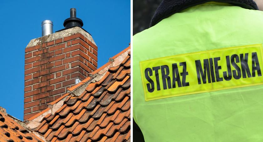 Uwaga! Kontrola za kontrolą we Włocławku. Kolejne osoby wypalały nielegalne śmieci
