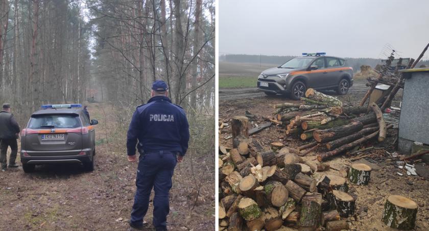 Policja wraz ze strażą leśną łapią złodzieja drzewa [FOTO]
