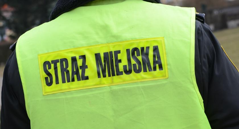 Strażnicy Miejscy zareagowali we Włocławku. 4 osoby zakłócały spokój przy bloku