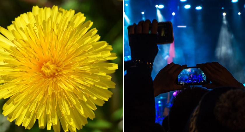 Majowy Piknik Rodzinny 2019 w Ciechocinku