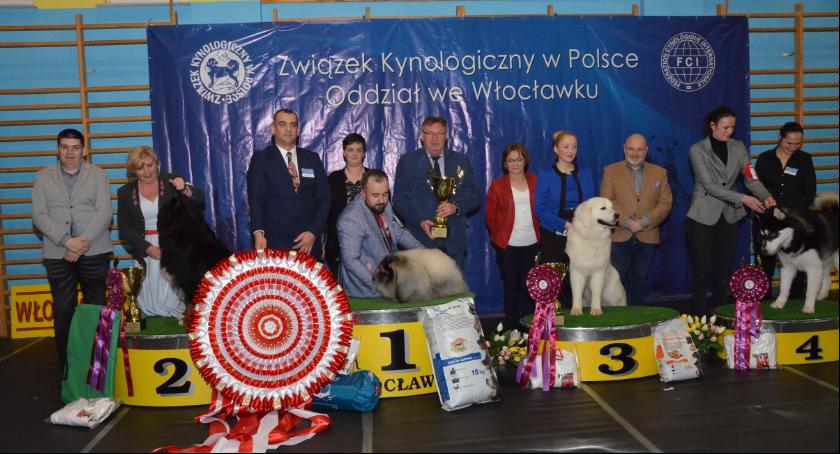 Ponad tysiąc psów w Choceniu. Zobacz zwycięzców [ZDJĘCIA]