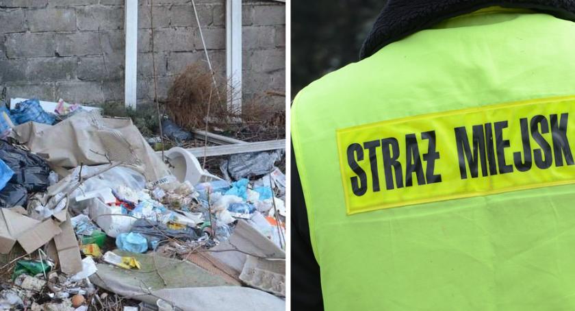 Straż Miejska we Włocławku ruszyła na kontrole. Za łamanie prawa grożą kary