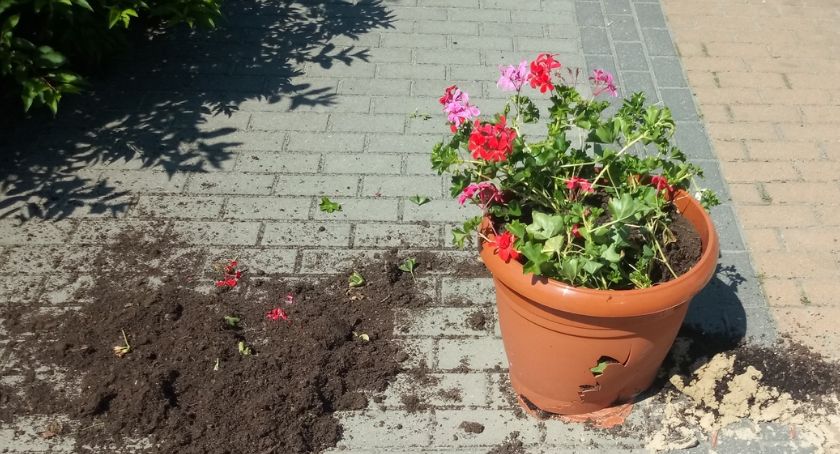 Wandal zniszczył mienie na deptaku. Tłumaczył, że to alkohol