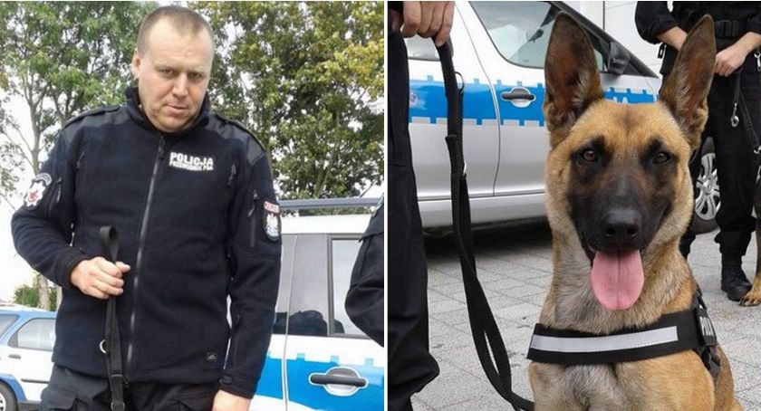 Pies policyjny wytropił złodzieja. Linda nakryła 35-latka jak przygotowywał łupy
