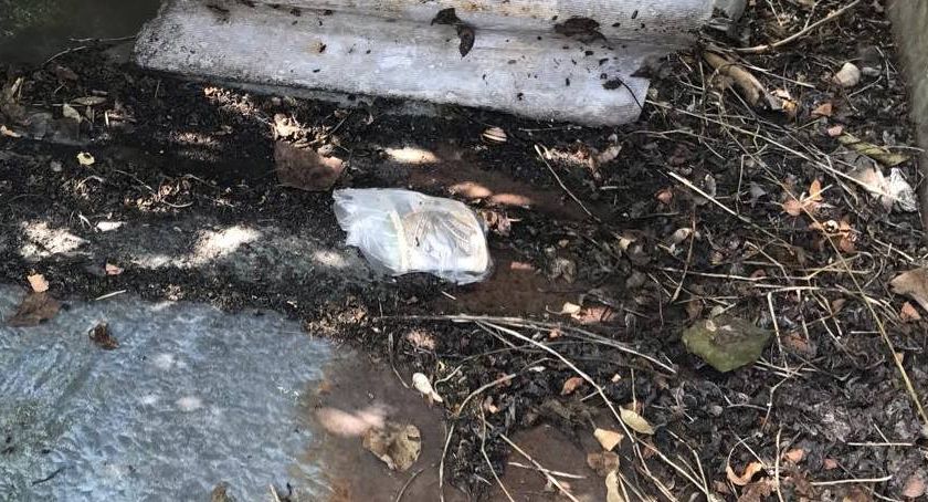 Ukradł pieniądze koledze z osiemnastki w powiecie radziejowskim. Ukrył je w opuszczonym gospodarstwie