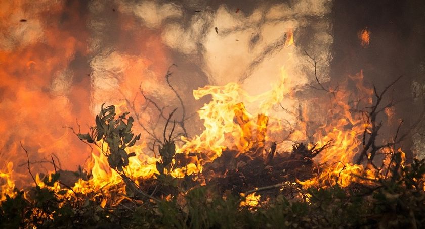 Pożar tartaku w Kowalu. 9 jednostek straży w akcji