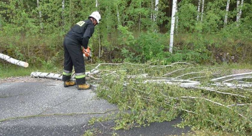 Silny wiatr we Włocławku i okolicach. Jest ostrzeżenie
