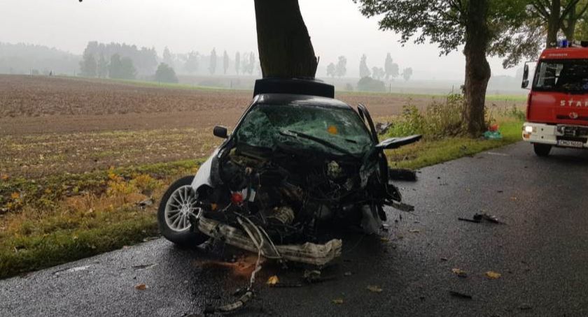 20-latek kierujący BMW uderzył w drzewo. Chciał ominąć sarnę [ZDJĘCIA]