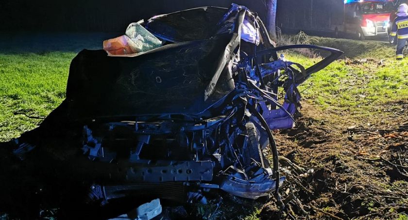 Wypadek w Puszczy Miejskiej. Zderzył się z łosiem, uderzył w przepust a potem w drzewo [ZDJĘCIA]