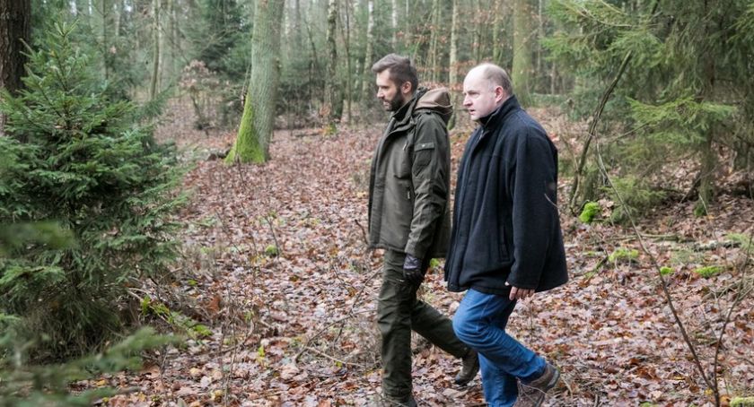 Potężna choinka stanie w Toruniu. Wybrał ją marszałek [ZDJĘCIA]