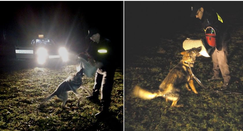 Policjanci z KPP w Radziejowie szkolili psy policyjne [ZDJĘCIA]