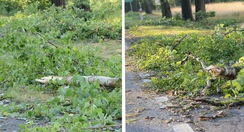Uwaga!!! Silny wiatr nad Włocławkiem i okolicami. Służby ostrzegają