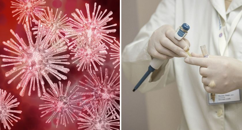 Koronawirus we Włocławku i Dobrzyniu nad Wisłą? Są wyniki badań. Uczniowie Ekonomika wracają do szkoły