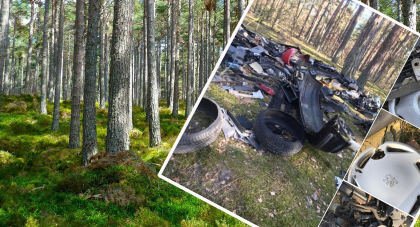 Dzikie wysypisko śmieci w Gminie Fabianki. Samorząd powiadomił już policję