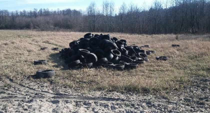 300 opon porzuconych w lesie. Trwają poszukiwania śmieciarza [ZDJĘCIA]