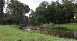 Park Sienkiewicza we Włocławku zmieni swoje oblicze