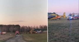 Krowa poturbowała 22 latkę w Piotrkowie Kujawskim. W&hellip;