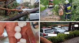 Zniszczenia po burzy we Włocławku i powiecie włocławskim. Te widoki budzą grozę