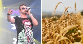Dożynki 2022 w Chodczu. Playboys i Capitan Folk wystąpią nad jeziorem [PROGRAM]