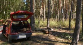 Kradzież drewna w regionie. Przyłapani jak ładowali &hellip;