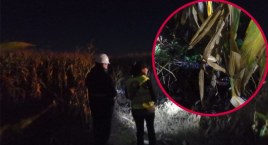 Rozszczelnienie rurociągu ropy naftowej pod Włocławkiem. Wojewódzki Inspektorat Ochrony Środowiska ocenia skutki awarii