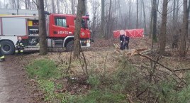 Tragedia w lesie w regionie. Nie żyje 48 latek