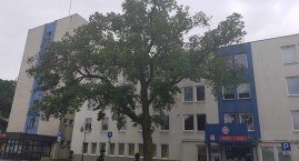 Podwyżki w Urzędzie Miasta we Włocławku. Ile i dla kogo?