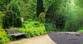 W Michelinie powstanie ogólnomiejska ścieżka zdrowia