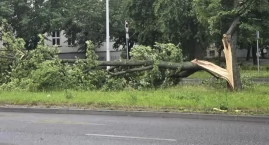 Burza Włocławek 2025: Nawałnica, o której mówi cała Polska. Media ogólnopolskie pokazują skalę zniszczeń