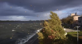 Silny wiatr we Włocławku i powiecie włocławskim. IMG…