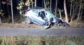 Peugeot wypadł z drogi po potrąceniu lisa. Auto rozt…