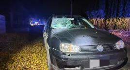 Tragiczny finał potrącenia 15-latki. Nastolatka zmar…