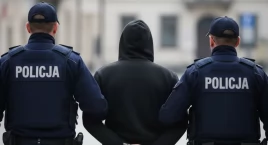 Pornografia dziecięca i treści z udziałem zwierząt w&hellip;