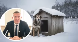 Apel Dody o prawa zwierząt krąży w sieci. Wsparcie także z powiatu włocławskiego