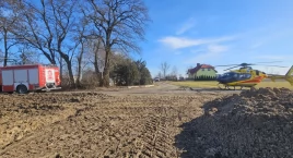 Dramatyczne chwile w gospodarstwie. Zwierzę zaatakowało kobietę. LPR w akcji