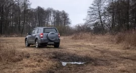 Potrącił psa i odjechał. Mieszkanka Włocławka prosi o pomoc