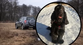 Tragiczny spacer pod Włocławkiem. Mieszkanka  szuka świadków