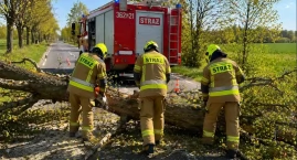 Alert dla Włocławka i okolic. Silny wiatr uderza w region