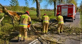Wielkanoc pełna pracy dla strażaków. Strażacy walczy&hellip;