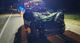 Zderzenie z łosiem pod Włocławkiem. 37-latek ciężko ranny