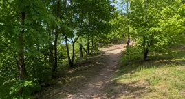 Włocławek tworzy nowe trasy dla rowerów MTB na Wzgórzu Szpetalskim