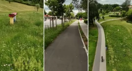 Włocławek stawia na łąki kwietne. Czy to dobry kieru&hellip;