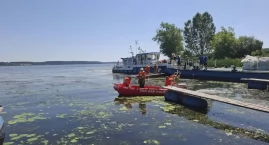 Martwe ślimaki w Wiśle pod Włocławkiem. Wody Polskie&hellip;