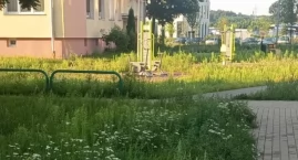 Zarośnięte chodniki i nie tylko. Tak wygląda okolica&hellip;